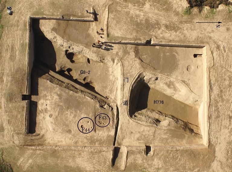 杨官寨遗址：探秘5000多年前的关中聚落